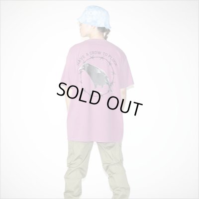 画像11: isxnot イズノット crow Tシャツ 2カラー