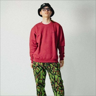 画像12: 【送料無料】isxnot イズノット surface スウェット 2カラー