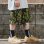画像7: COOKMAN クックマン Chef ショーツ TRIBAL CAMO OLIVE