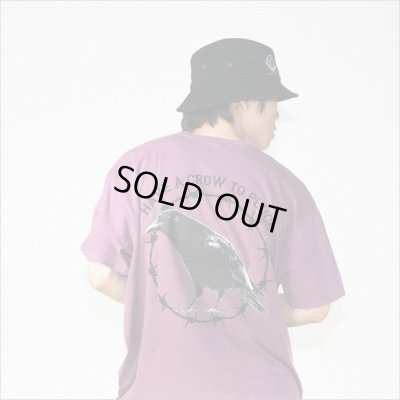 画像16: isxnot イズノット crow Tシャツ 2カラー