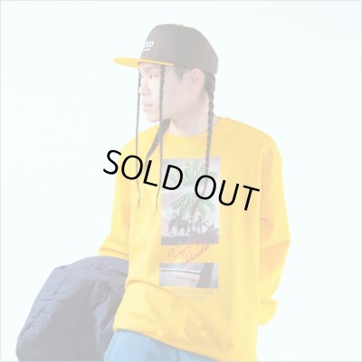 画像9: 【送料無料】KustomStyle カスタムスタイル BROWNYARD&SUNSHINE クルーネックスウェット GOLD