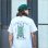 画像14: CAPTAIN STREET Tiger Tシャツ WHITE キャプテンストリート