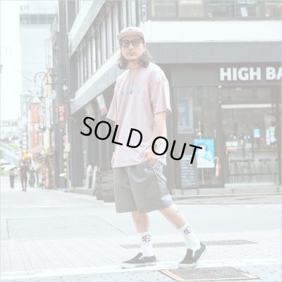 画像10: 【20％OFF】Deviluse デビルユース Faint Tシャツ PLUM