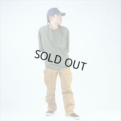 画像11: RED KAP レッドキャップ DUCK PAINTER PANTS BROWN