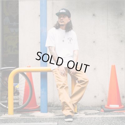 画像5: RED KAP レッドキャップ DUCK PAINTER PANTS BROWN