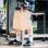 画像12: 【送料無料】BLUCO ブルコ LIGHT CANVAS PAINTER SHORTS IVORY