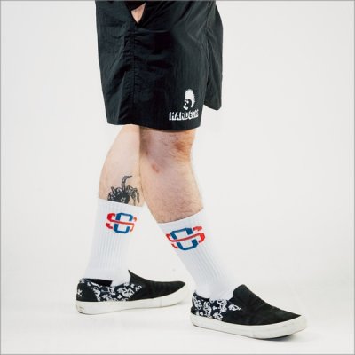 画像9: 【送料無料】SKULL SKATES スカルスケーツ HARDCOREロゴ ナイロンショーツ BLACK