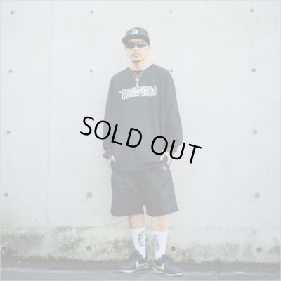 画像14: 【送料無料】BLACK FLYS ブラックフライズ SKATER FLY BLACK/GREY