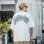 画像9: KustomStyle カスタムスタイル HAVOC BIG Tシャツ WHITE (9)