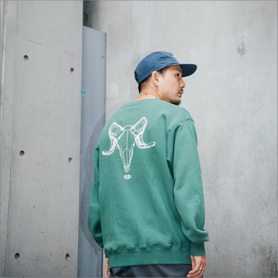 画像8: 【送料無料】BLUCO ブルコ スウェットシャツ -BONES- GREEN