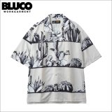 【送料無料】BLUCO ブルコ オープンカラーシャツ -CACTUS- IVORY