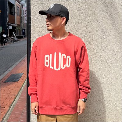 画像2: 【送料無料】スウェットシャツ -HEX- SALMON