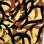 画像5: 【送料無料】COOKMAN クックマン L/Sワークシャツ Tribal Camo BEIGE (5)