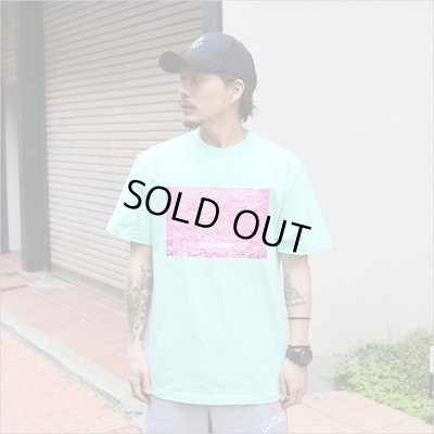 画像2: 【70％OFF】CAPTAIN STREET WP Tシャツ L.GREEN キャプテンストリート