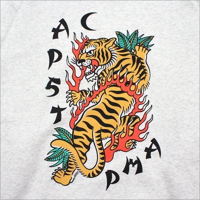 画像5: 【送料無料】CAPTAIN STREET JST P/Oパーカー ASH キャプテンストリート