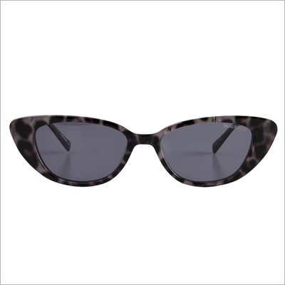 画像4: 【送料無料】BLACK FLYS ブラックフライズ FLY CATALINA GREY LEOPARD/GREY