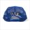 画像2: Deviluse デビルユース Adorn メッシュキャップ BLUE (2)
