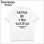 画像1: KustomStyle カスタムスタイル ESTILO CALIFAS Tシャツ WHITE (1)