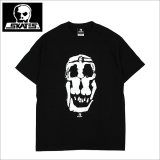 【送料無料】SKULL SKATES スカルスケーツ LADY SKULL Tシャツ BLACK