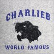 画像2: 【70%OFF】CharlieB チャーリービー Panter P/Oパーカー GRAY  (2)