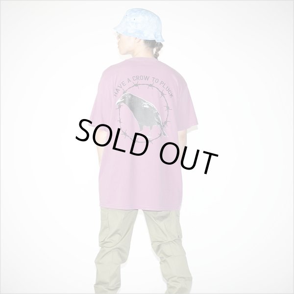 画像11: isxnot イズノット crow Tシャツ 2カラー (11)