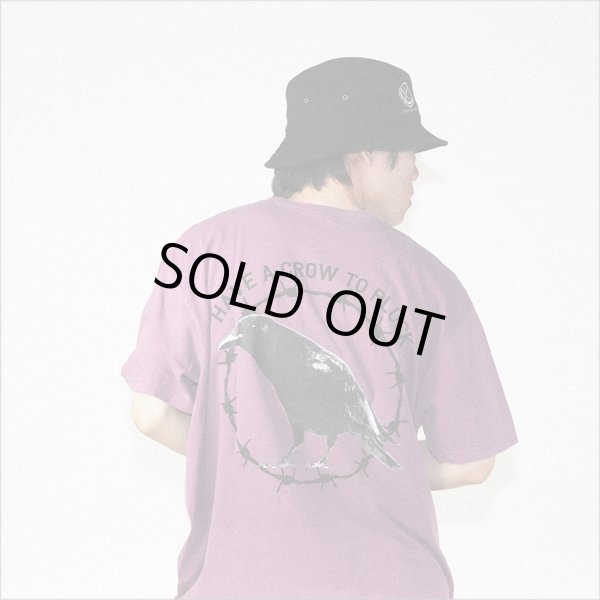 画像16: isxnot イズノット crow Tシャツ 2カラー (16)