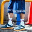 画像6: 【送料無料】KustomStyle カスタムスタイル GARDEN GROVE MESH SHORTS JERSEY  NAVY (6)