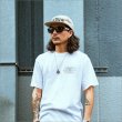 画像14: 【送料無料】KUSTOMSTYLE x BLACK FLYS カスタムスタイル FLY DESPERADO サングラス BLACK/GRAY (14)