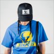 画像5: 【送料無料】SKULL SKATES スカルスケーツ HORSE BOX メッシュキャップ BLACK (5)