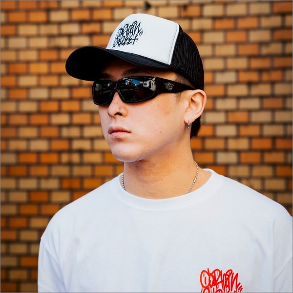 画像9: 【送料無料】BLACK FLYS ブラックフライズ SKATER FLY BLACK/GREY (9)