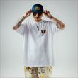 画像19: 【送料無料】BLACK FLYS ブラックフライズ FLY MADISON BROWN STRIPE/LIGHT GREEN (19)