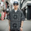 画像5: 【送料無料】BLACK FLYS ブラックフライズ FLY ARCHER HAVANA-SILVER/BLUE (5)