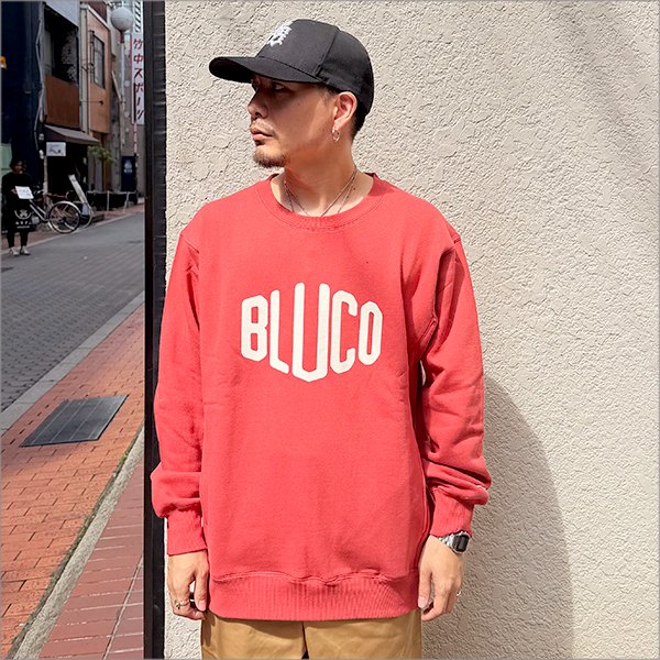画像2: 【送料無料】BLUCO ブルコ スウェットシャツ -HEX- SALMON (2)