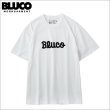画像1: BLUCO ブルコ プリントTシャツ -Novel- WHITE (1)