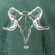 画像5: 【送料無料】スウェットシャツ -BONES- GREEN (5)