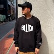 画像2: 【送料無料】スウェットシャツ -HEX- BLACK (2)