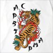 画像5: CAPTAIN STREET JST L/S Tシャツ WHITE キャプテンストリート (5)