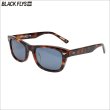 画像1: 【送料無料】BLACK FLYS ブラックフライズ FLY ARCHER HAVANA-SILVER/BLUE (1)