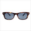 画像3: 【送料無料】BLACK FLYS ブラックフライズ FLY ARCHER HAVANA-SILVER/BLUE (3)