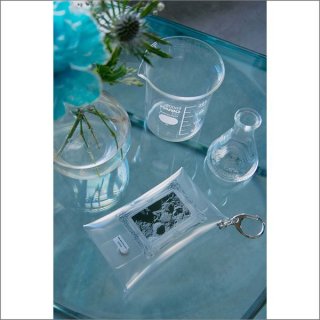 ROCK & STREET BRAND - CAPTAIN STREET (Page 7)