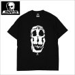 画像1: 【送料無料】SKULL SKATES スカルスケーツ LADY SKULL Tシャツ BLACK (1)