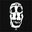 画像3: 【送料無料】SKULL SKATES スカルスケーツ LADY SKULL Tシャツ BLACK (3)